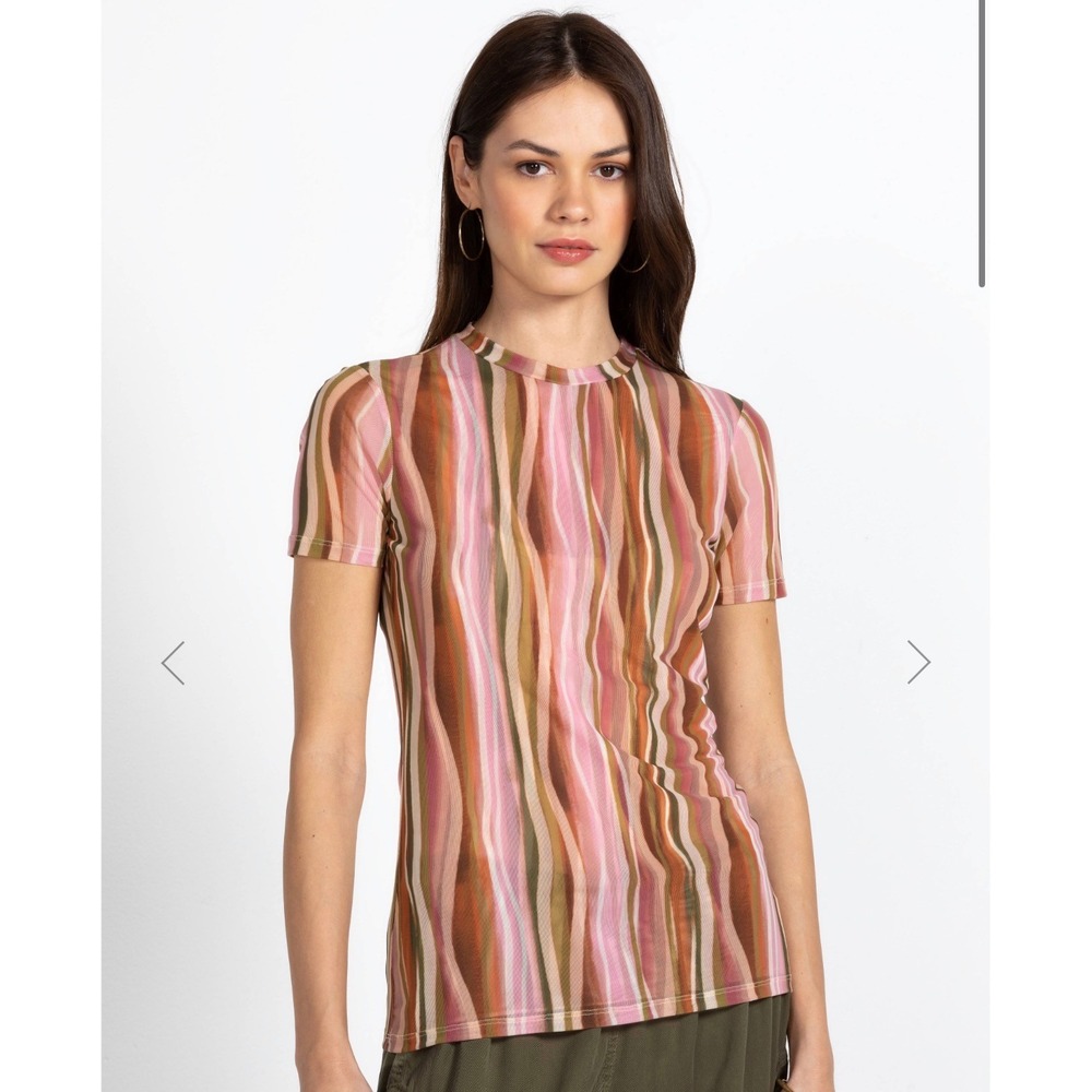 Johnny Was Eleanor Mesh Short SleeveTop Striped Pink Brown Women's Size XL - Picture 8 of 9
